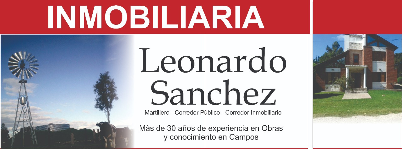 Inmobiliaria Leonardo Sanchez
